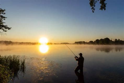 Where To Get A Fishing License Near Me – With Costs For All 50 States