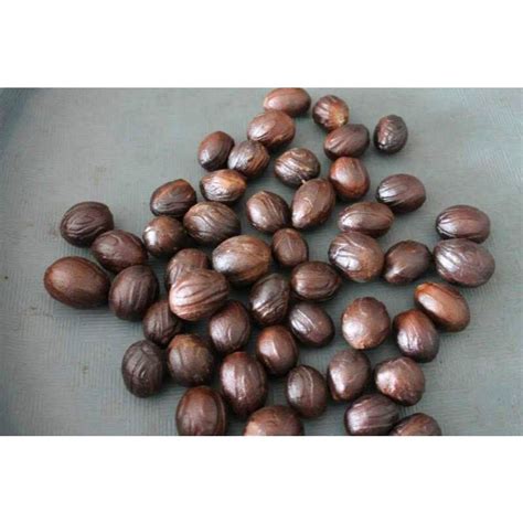 Biji Pala / Biji Pala Kering / Nutmeg / Biji Pala Original /Pala 1 kg | Lazada Indonesia