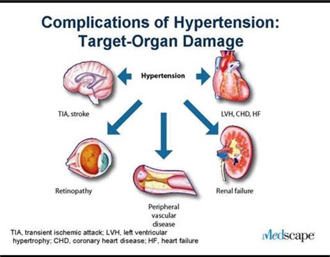 Retinal microvascular calibre and blood pressure associated target organ damage : a bi-ethnic ...