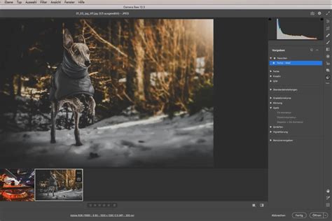 Adobe Camera Raw: Video-Tutorial zur Fotobearbeitung