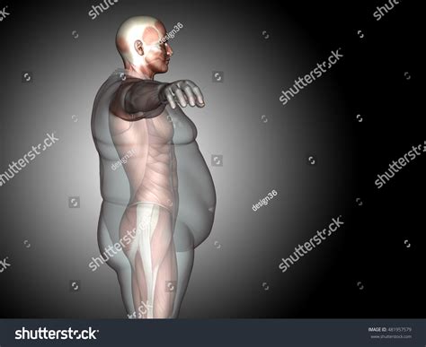 2,365 Fat Vs Fit Man Images, Stock Photos & Vectors | Shutterstock