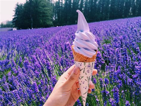 lavender ice cream - Living + Nomads – Travel tips, Guides, News ...