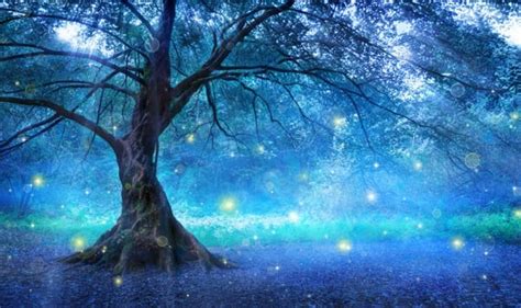 Mystical Fairy Tree Blue Enchanted Forest Kids Wall Mural Photo Wallpaper