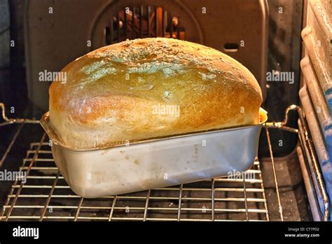 Baking Bread In Oven : Baking | Baking Processes | BAKERpedia - You can use different recipes to ...