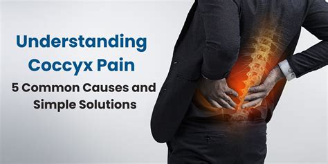 Understanding Coccyx Pain: 5 Common Causes and Simple Solutions – WELLGIVER