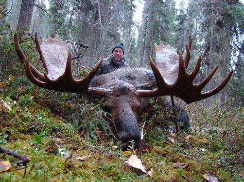 Expert Tips and Tricks for Moose Hunting