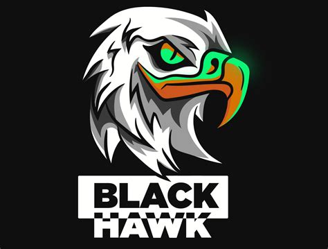 black hawk logo by raashid on Dribbble