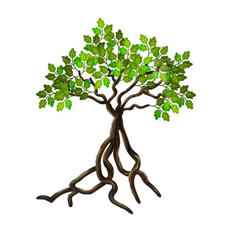 Mangrove Trees Clipart, Mangrove Trees, Coastal, Abrasion PNG and ...