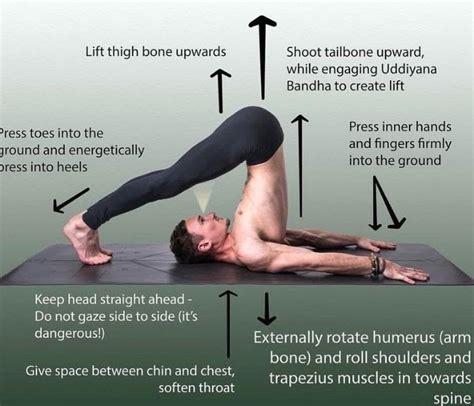 Halasana – The Plow pose: A Quick Guide - Govardhan EcoVillage