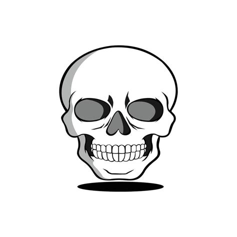 white background skull vector 13094388 Vector Art at Vecteezy