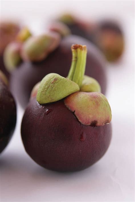 Mangosteen Fruit | The Fruit for Life MANGOSTEEN