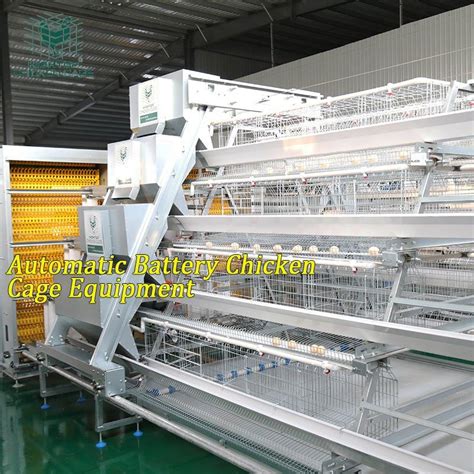 New Design Automatic Egg Layer Farming Equipment Chicken Cage With Europe Standard - China ...