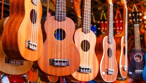 Top 13 Best Ukulele Brands Reviews & Comparison