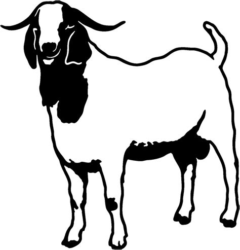 Boer Goat Clipart | Free download on ClipArtMag