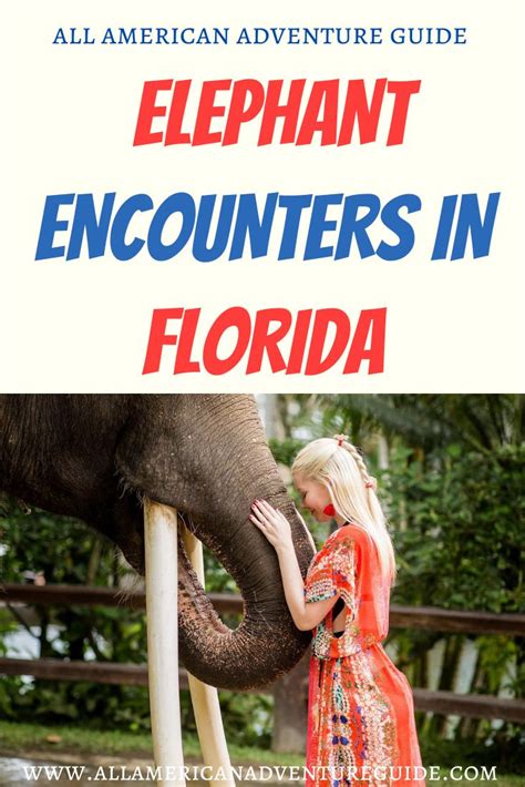 Elephant Encounters in Florida - All-American Adventure Guide