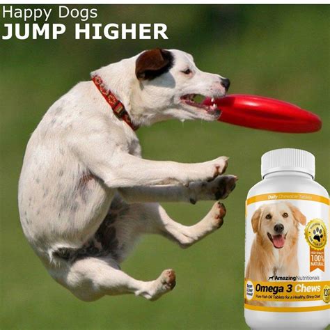 Omega 3 for Dogs - Amazing Nutritionals