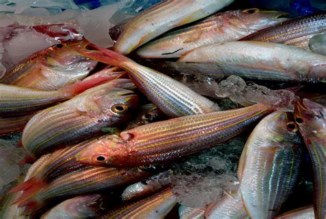 Free Images : food, perch, seafood, italy, still life, painting, sardine, fish market, calabria ...