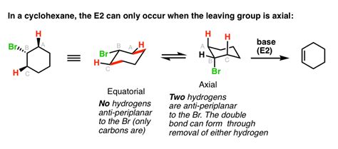 Antiperiplanar Relationships: The E2 Reaction and Cyclohexane Rings