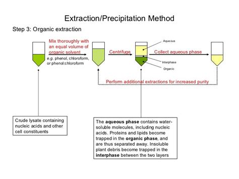 Dna extraction