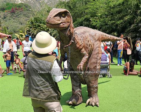 Raptor Costume Hidden Legs Animatronic Dinosaur Manufacturer Expert ...