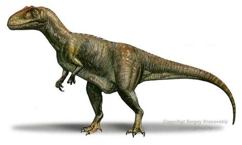 Aerosteon Pictures & Facts - The Dinosaur Database