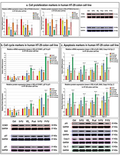 Effects of treatment protocols on cell proliferation markers, cell ...