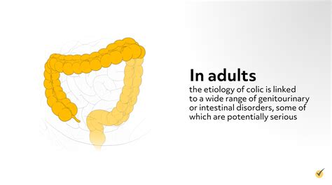 Colic: Causes, Symptoms, and Treatment Options (Video)