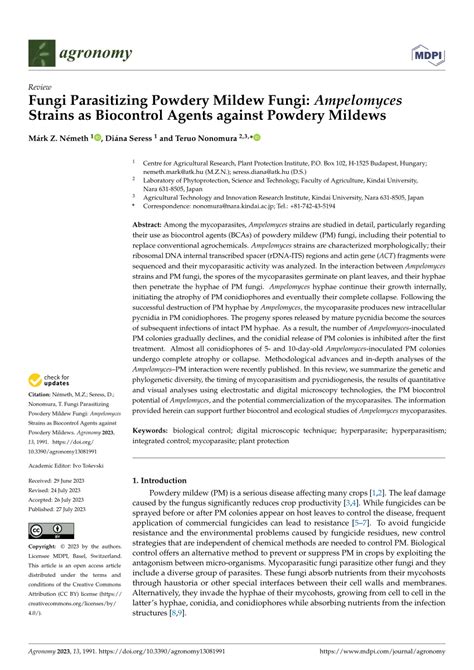 (PDF) Fungi Parasitizing Powdery Mildew Fungi: Ampelomyces Strains as Biocontrol Agents against ...