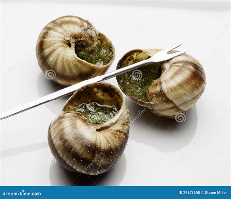 Escargot stock photo. Image of tasty, fork, cooking, escargot - 29875608