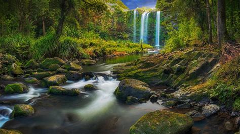 Bing HD Wallpaper Apr 2, 2022: Whangārei Falls in New Zealand - Bing ...