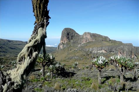 Mount Elgon National Park | Join Up Safaris