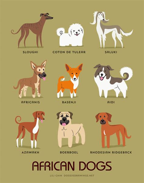 Dogs of The World: 192 Adorable Dog Breeds Illustration Grouped by ...