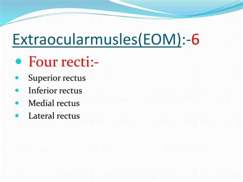 Anatomy of extraocular muscles and ocular motility