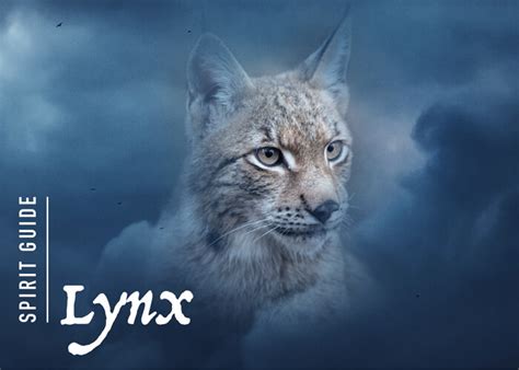 The Lynx Spirit Animal - A Complete Guide to Meaning and Symbolism.