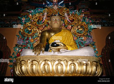 BPM 82638 : buddhist monastry golden statue of Buddha ; Sikkim ; india ...