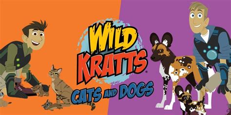 Wild Kratts: Cats and Dogs | | WTTW