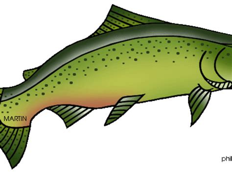 Salmon clipart chinook salmon, Salmon chinook salmon Transparent FREE ...