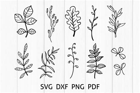 Greenery SVG Cut Files, Hand Drawn Leaves Bundle