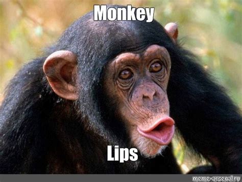 Monkey With Big Lips Meme | Lipstutorial.org