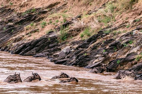 The Top Rivers In Kenya: Exploring The Country's Most Important Rivers ...