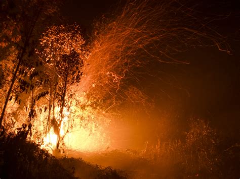 Foto: Karhutla Kalimantan Tengah di Malam Hari | Tagar