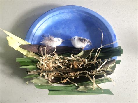 Make a Birds Nest Paper Plate Craft for Storytelling