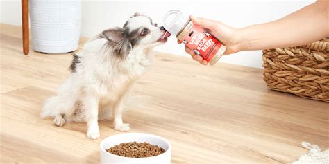 10 Best Dog Food Toppers For Picky Eaters In 2023 - BARK Post