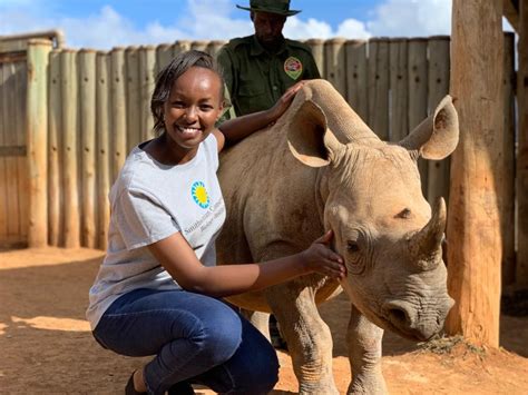 The Poop Scoop: How Dung Helps Us Understand Rhino Reproduction ...