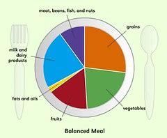creating a balanced meal- food group plate- healthy nutrit… | Flickr