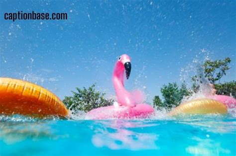 Flamingo Pool Float Instagram Captions with Quotes