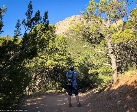 Shaded Trails for Summer in the High Desert - Hikes Around Albuquerque