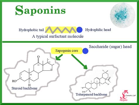 Let it foam: Saponins for natural cosmetics - Swettis Beauty Blog