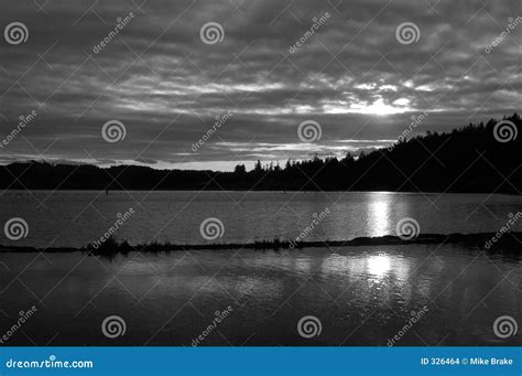 Black and White Sunset stock photo. Image of white, trees - 326464