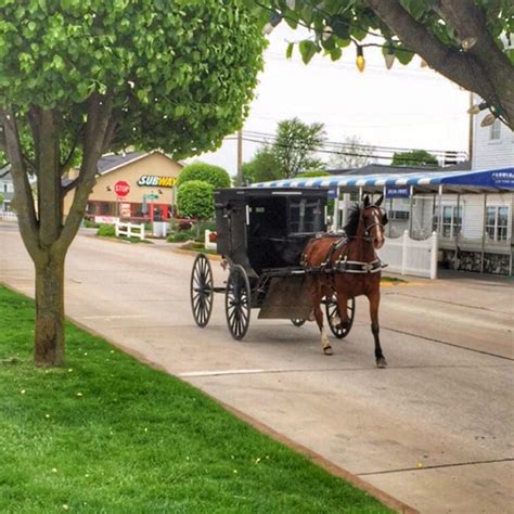 A Visit To Amish Country: Shipshewana, In - Just Short of Crazy